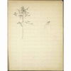 St_Poelten_Voelkendorfer_Wald_Baumstudien_29552_20.jpg