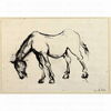 Pferd_28034.jpg